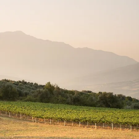 农家乐 坦奴塔特斯坦罗萨酒店