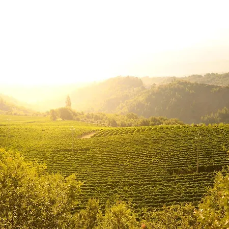 Tenuta Testarossa