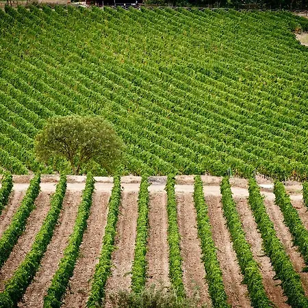 Séjour à la ferme Tenuta Testarossa *