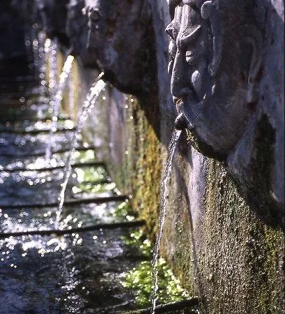 坦奴塔特斯坦罗萨酒店 农家乐
