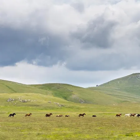 农家乐 坦奴塔特斯坦罗萨酒店 Pescosansonesco