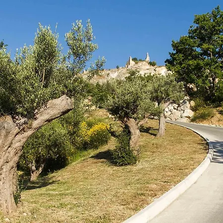 坦奴塔特斯坦罗萨酒店 *