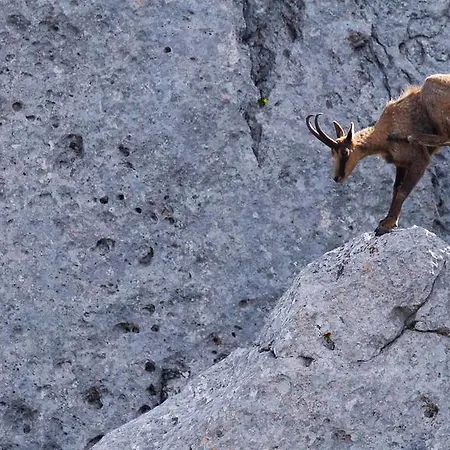 农家乐 坦奴塔特斯坦罗萨酒店 *