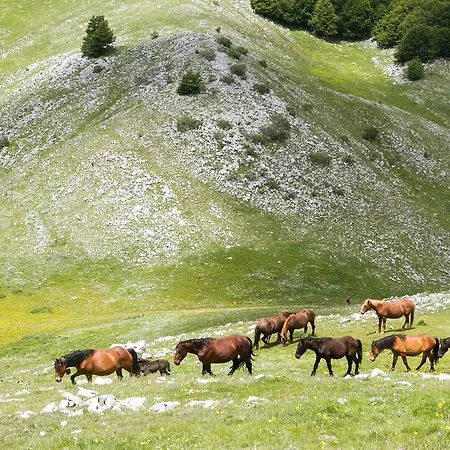 坦奴塔特斯坦罗萨酒店 *