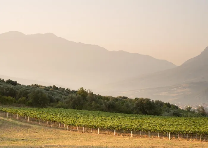 农家乐 坦奴塔特斯坦罗萨酒店