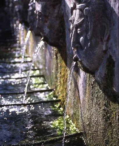 坦奴塔特斯坦罗萨酒店 农家乐