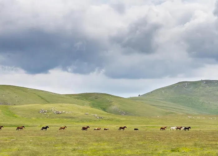 农家乐 坦奴塔特斯坦罗萨酒店 Pescosansonesco