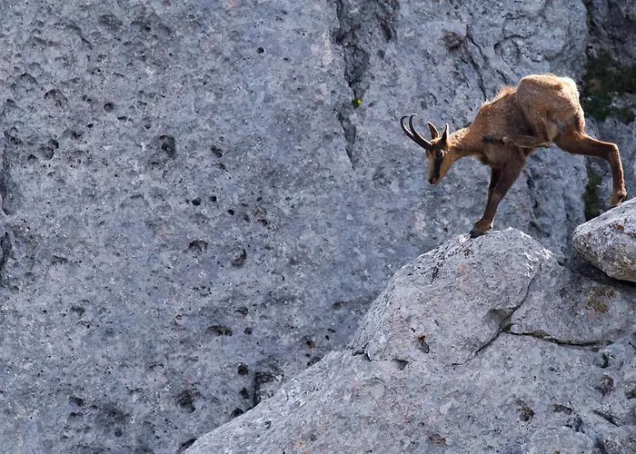 农家乐 坦奴塔特斯坦罗萨酒店 *