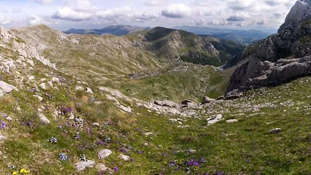 农家乐 坦奴塔特斯坦罗萨酒店